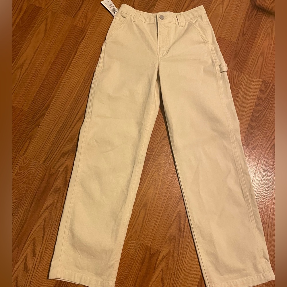 Aritzia pants
